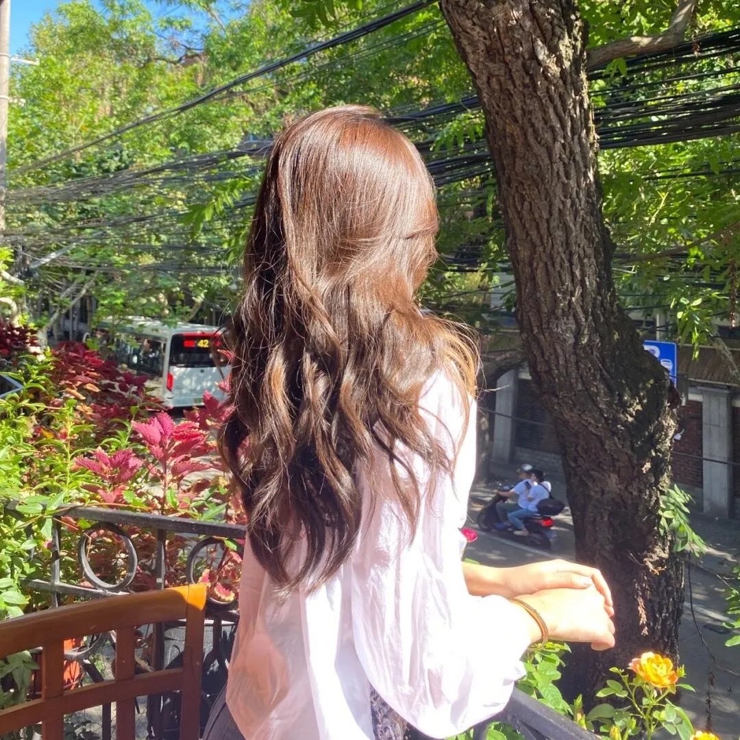 美丽的南方